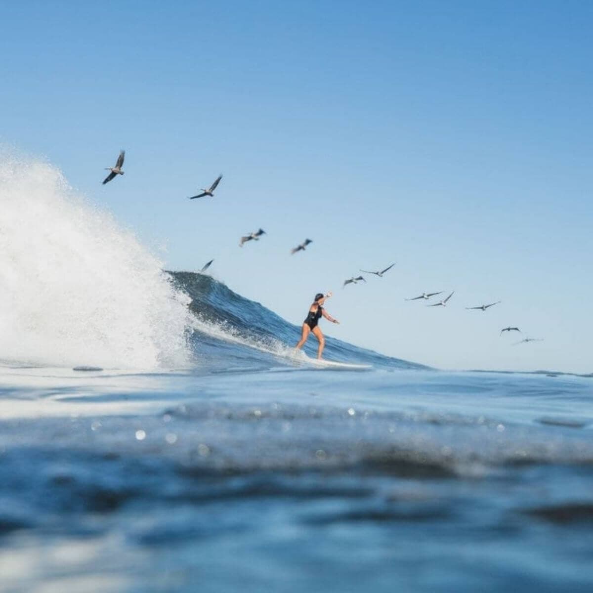 MV Addiction | AWAVE Travel photo 4