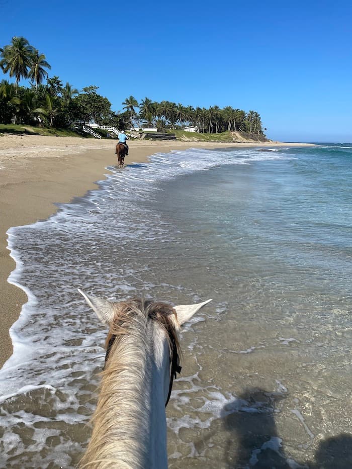Cabarete Surf Company photo 5