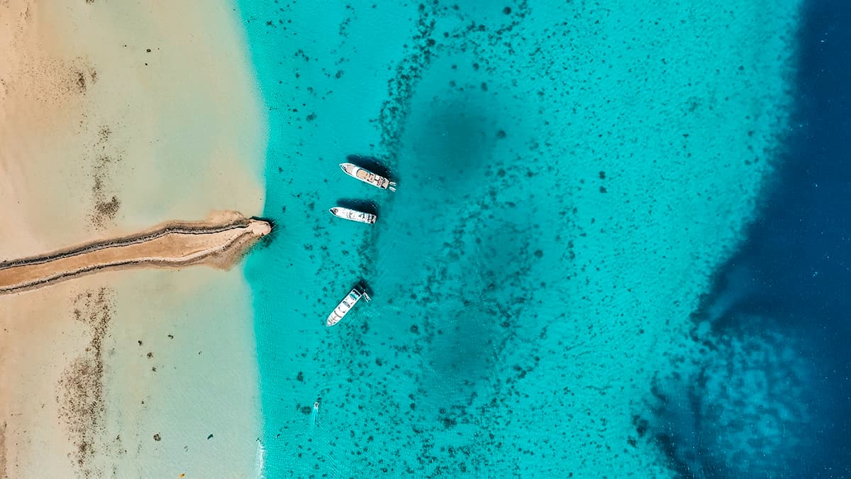 Discovery Kite photo 2