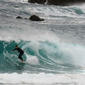 Charlie on the Move Ltd photo 2