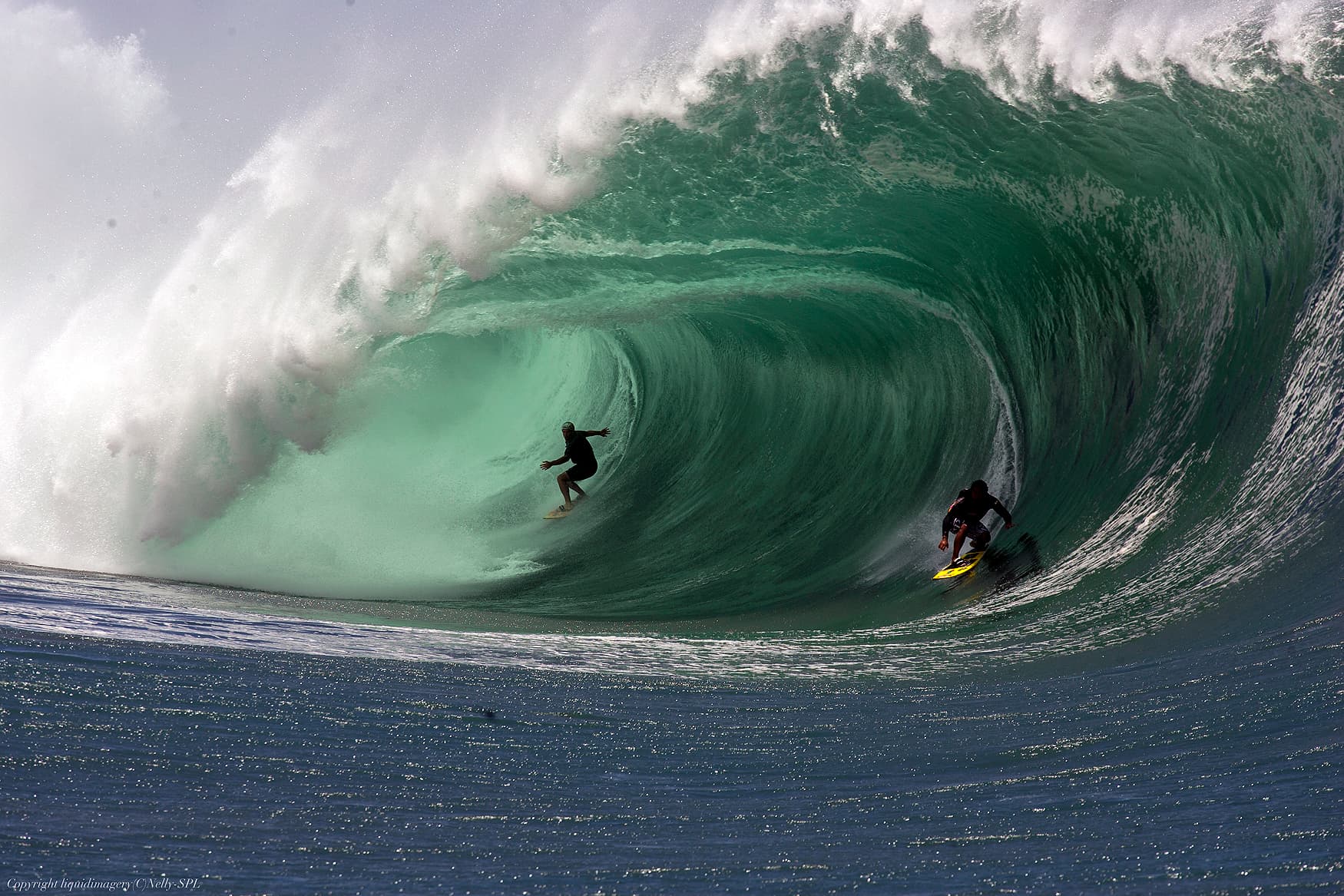 Dave Nelson Photography photo 3