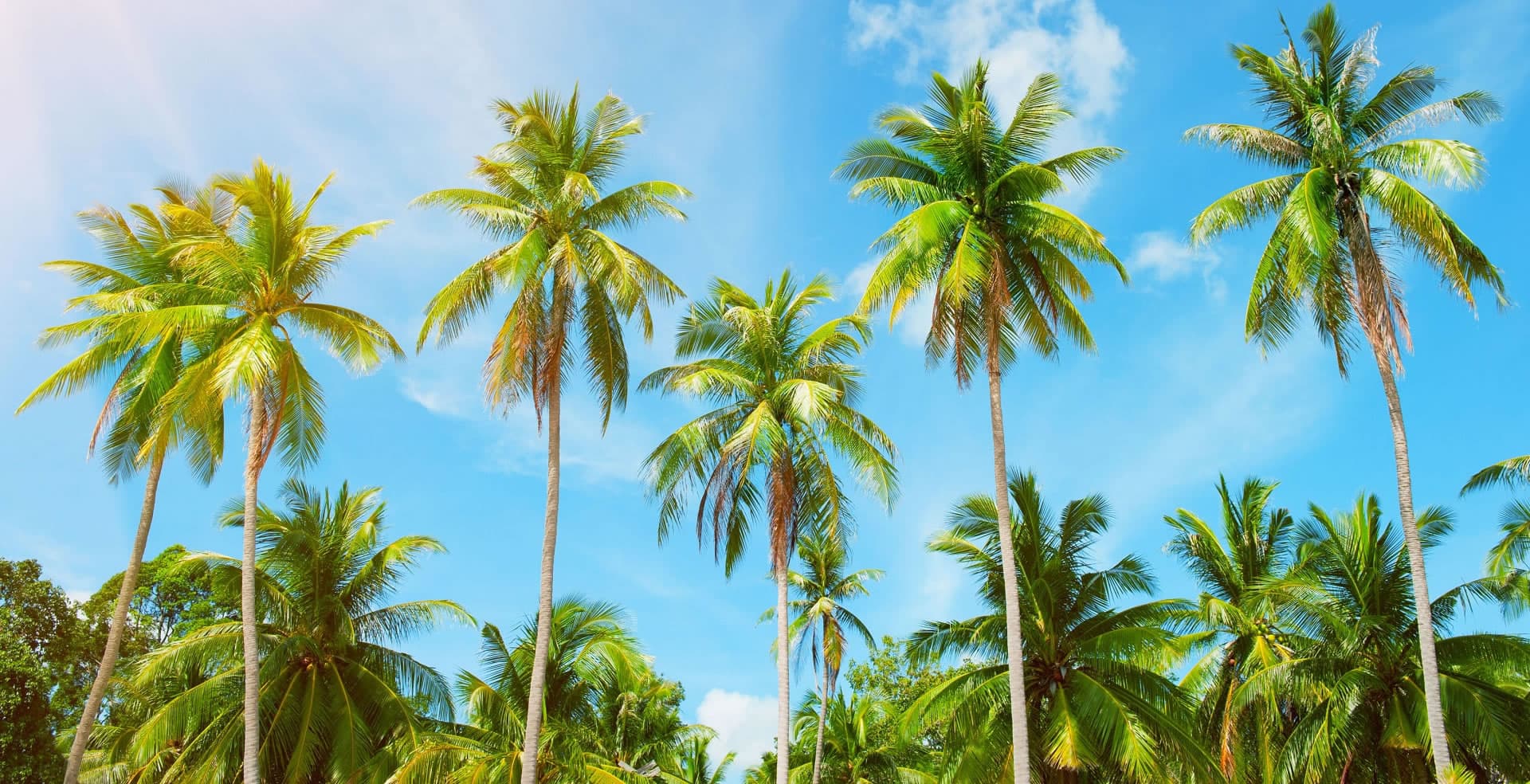 El Chante Surf House photo 5