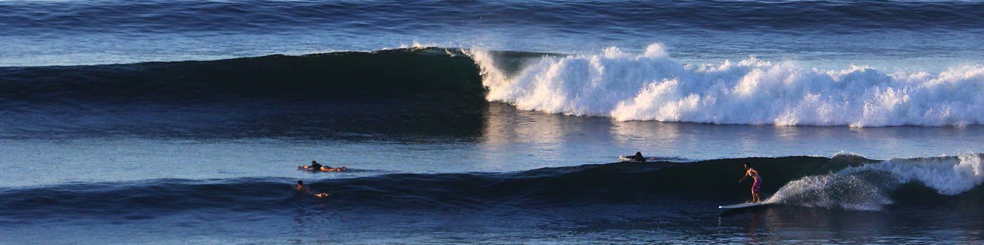 Epic Surfing Adventures