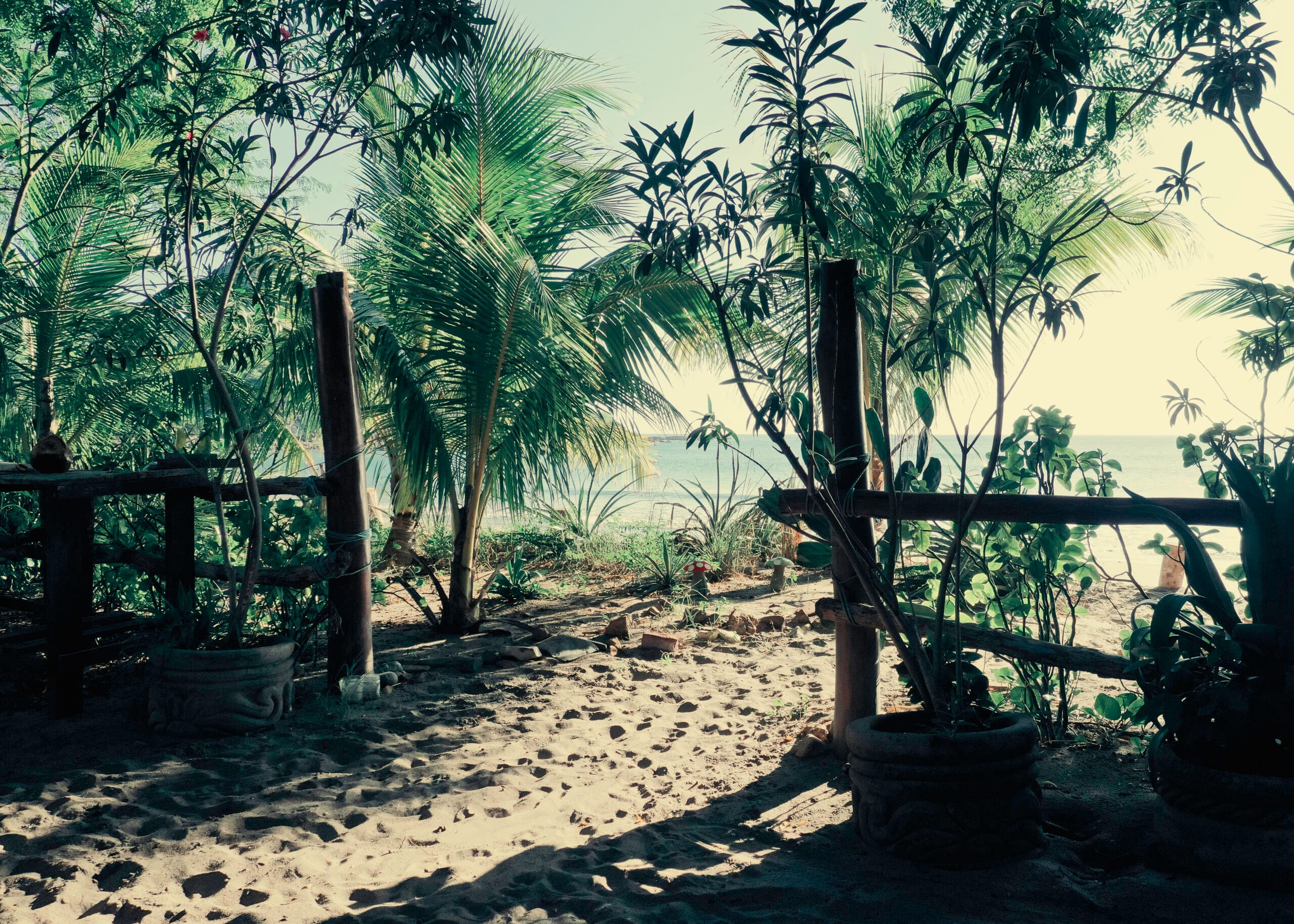 Giants Foot Surf photo 6