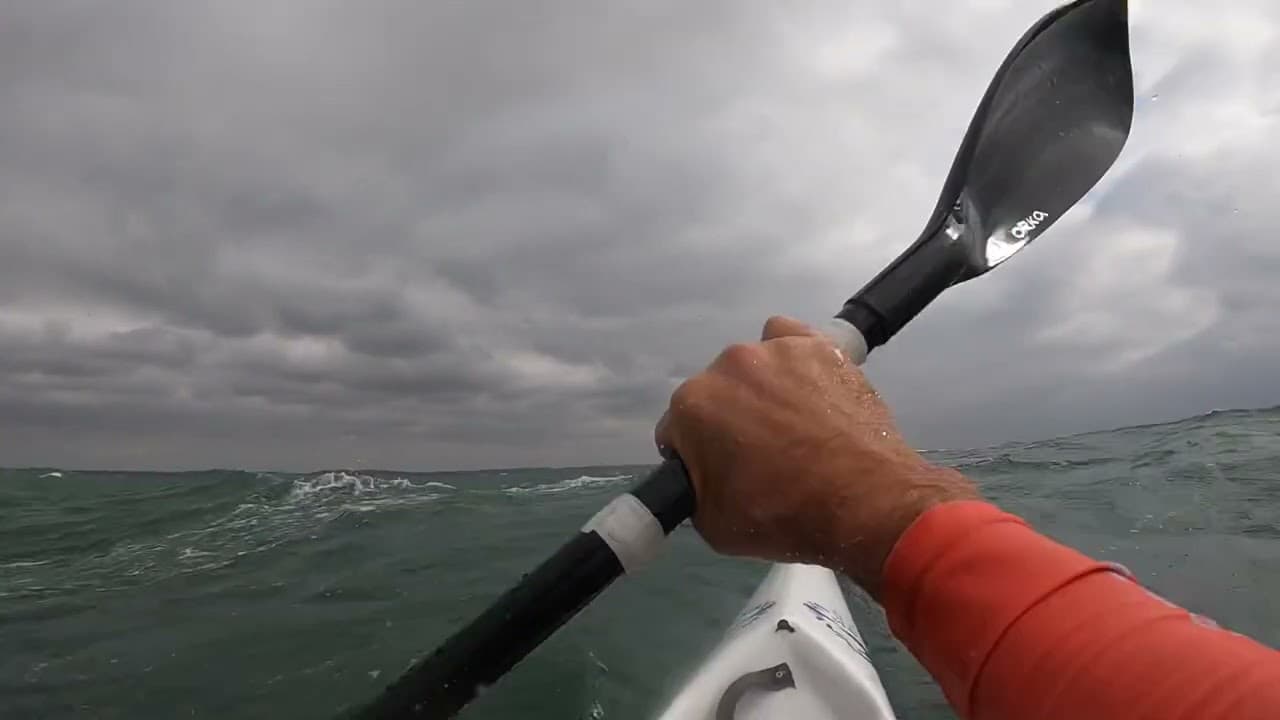 SASS Academy & Training photo 4