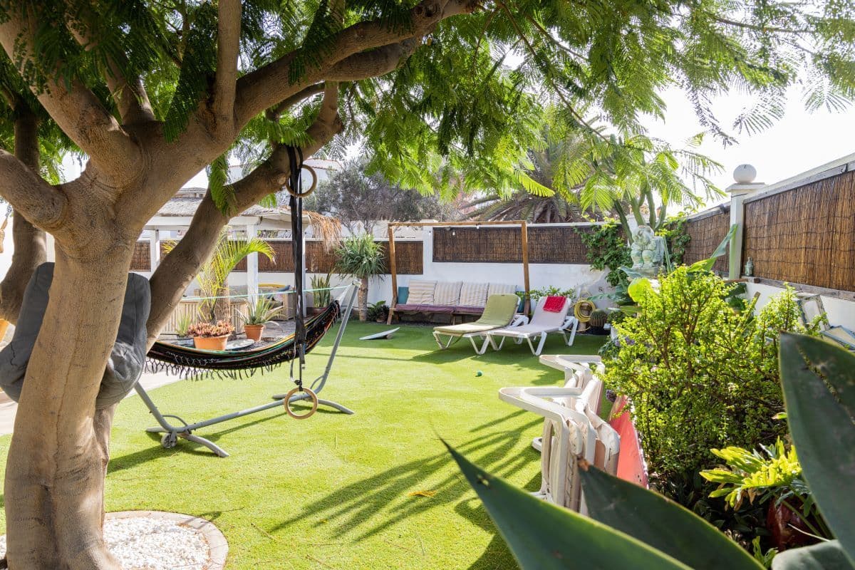 Gecko Windsurf photo 5