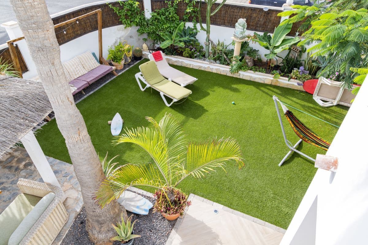 Gecko Windsurf photo 3