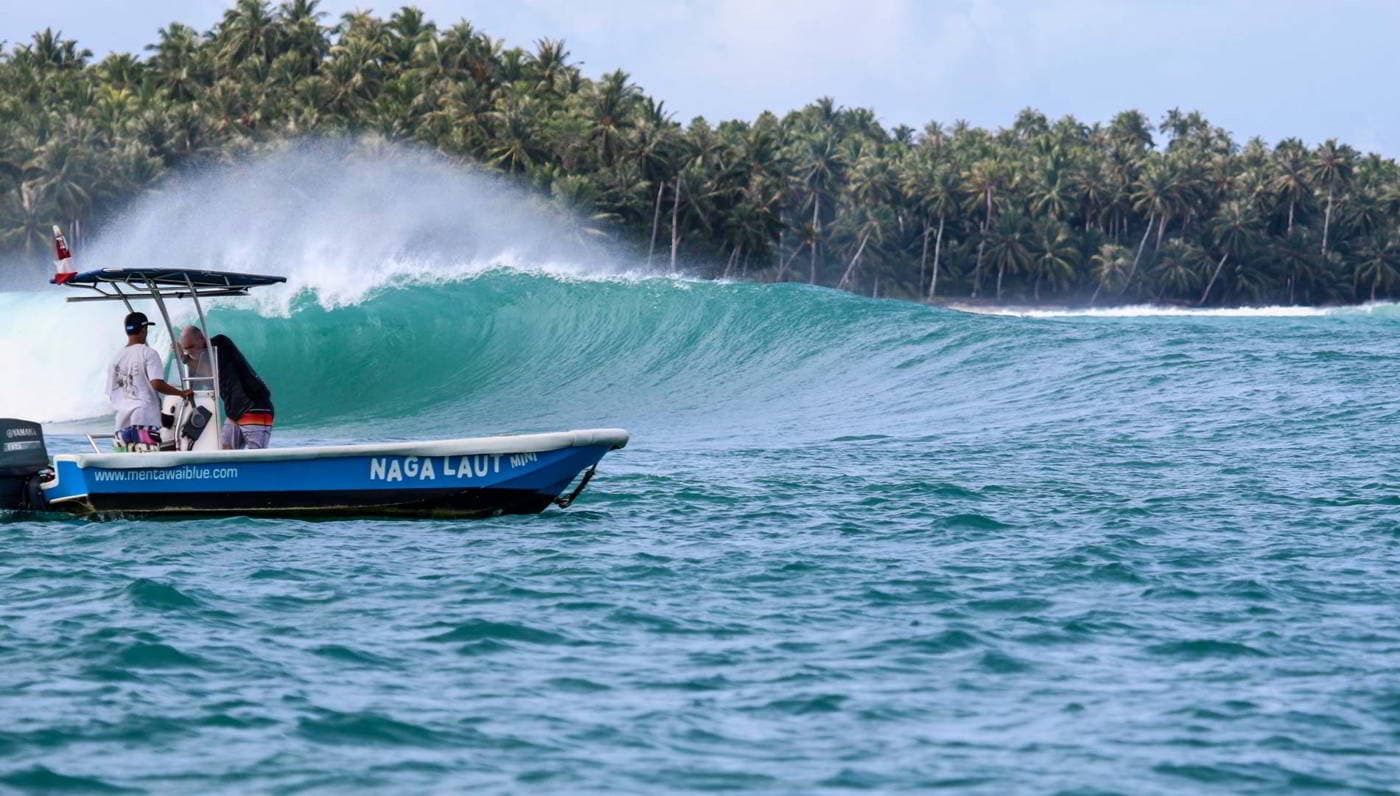 Mentawai Blue Surf Charter photo 4