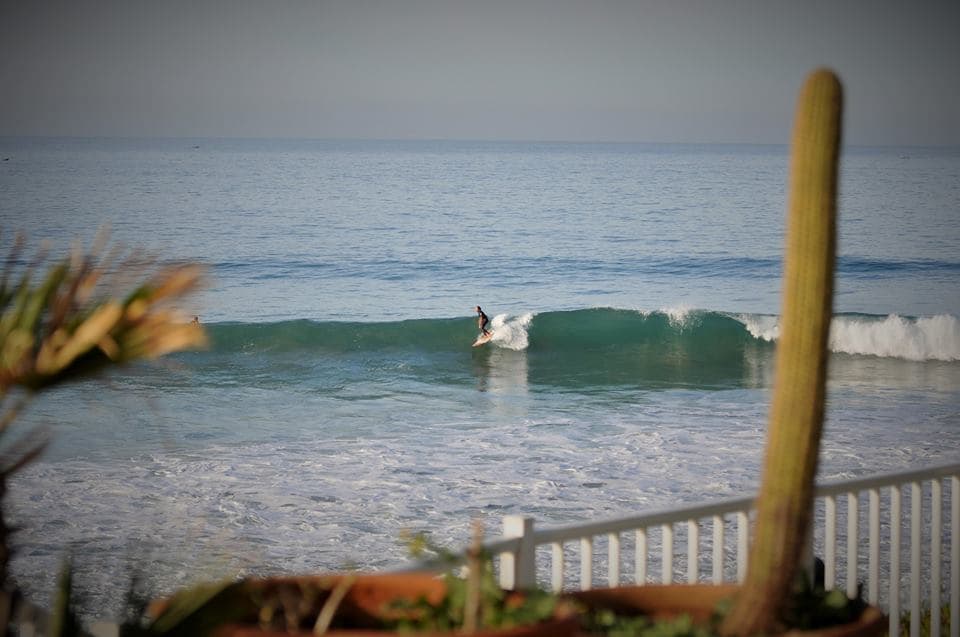 Mint Surf Morocco photo 3