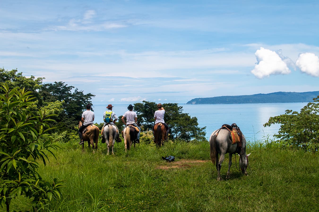 Mokum Surf Club photo 4