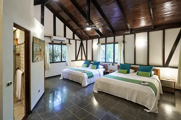 Pura Vida Adventures photo 4