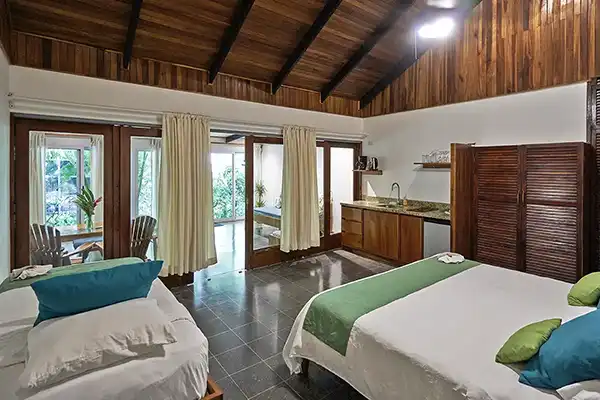 Pura Vida Adventures photo 3