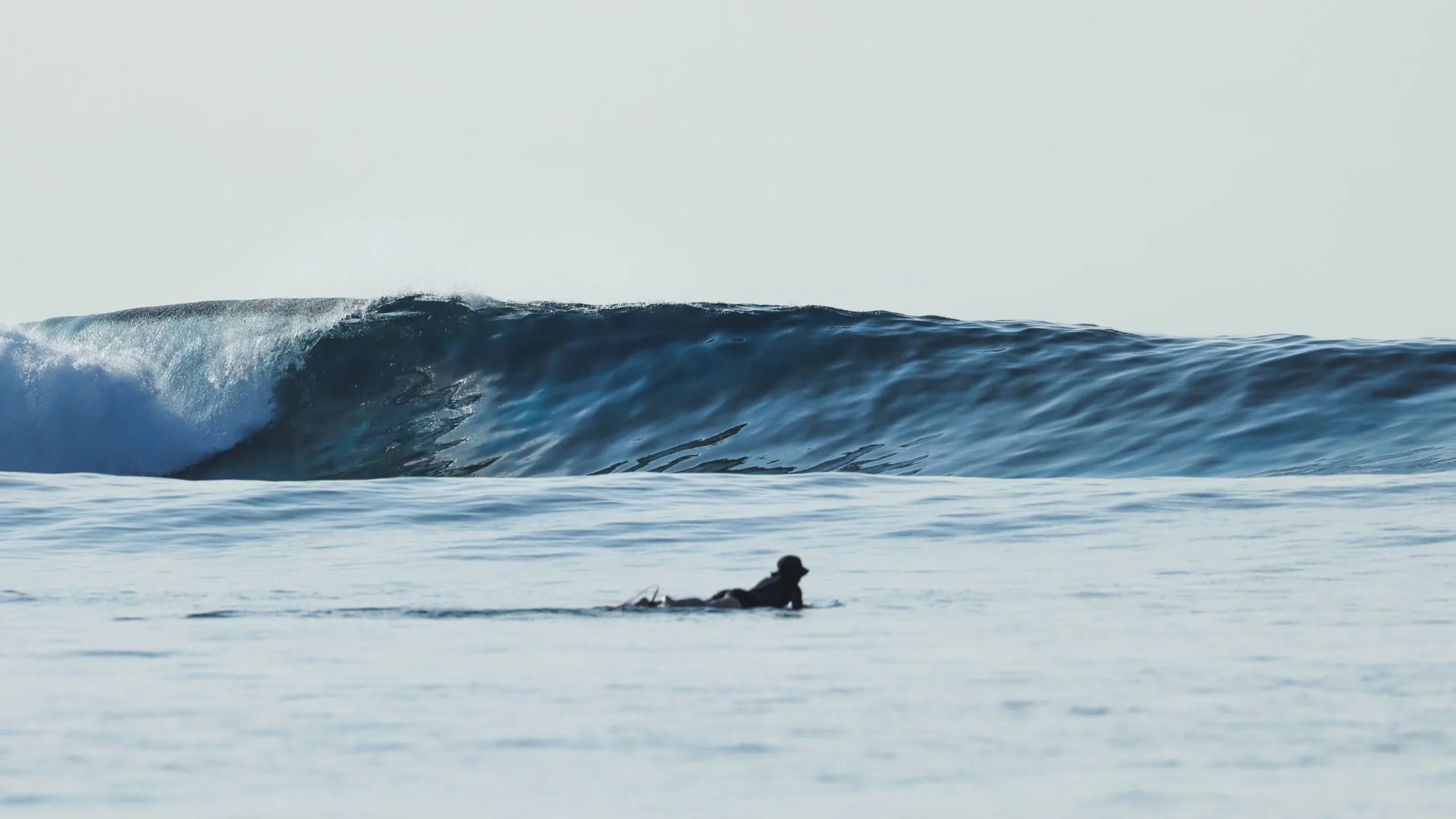 Renegade Surf Travel