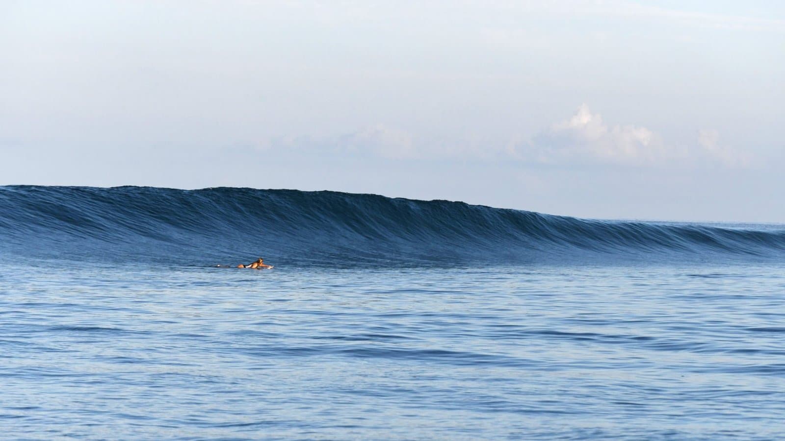 Renegade Surf Travel photo 2