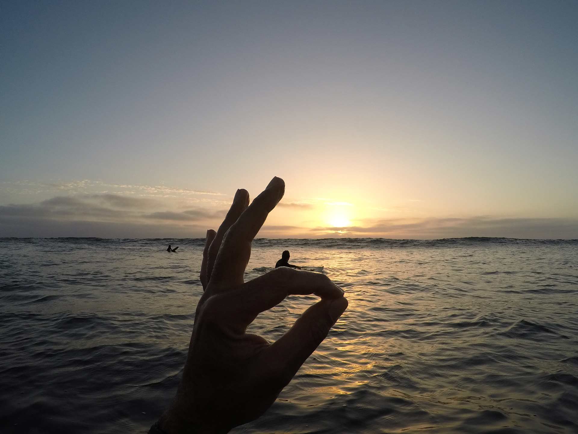 Salty Jackal Backpackers & Surf Camp photo 3