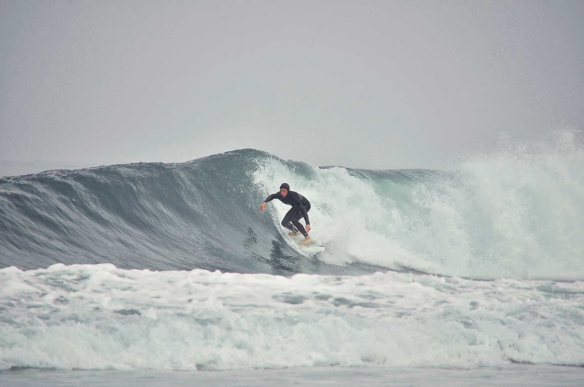Salty Jackal Backpackers & Surf Camp photo 6