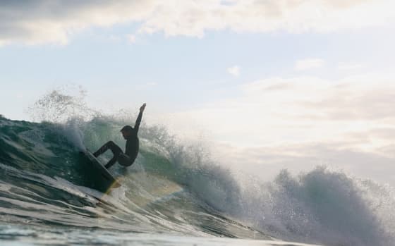 Shelter Surf photo 2