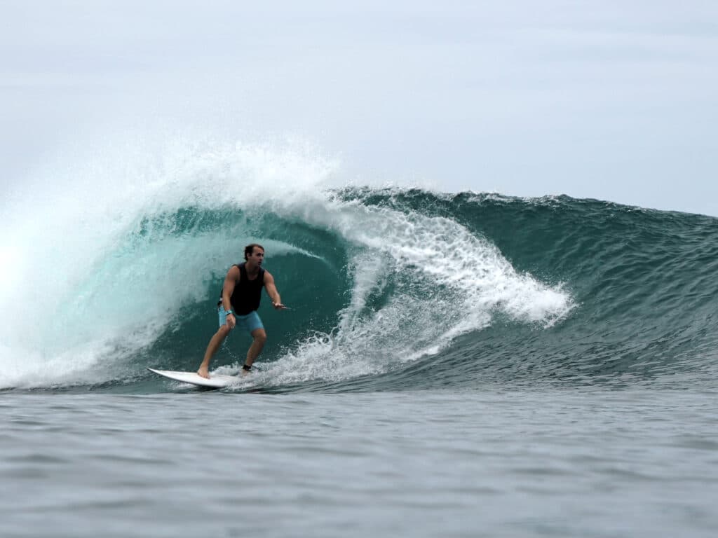 STARKIMAGING photo 2