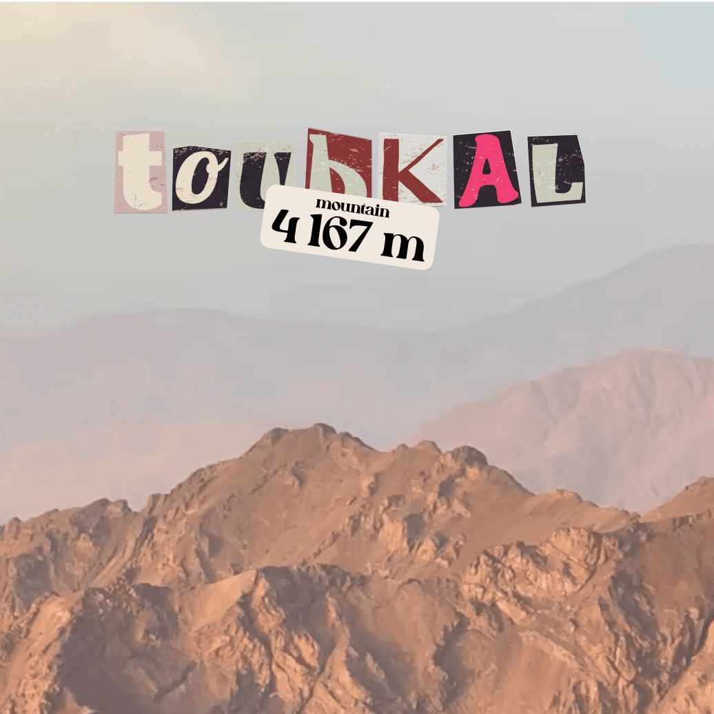 Desert Surf Camp photo 5