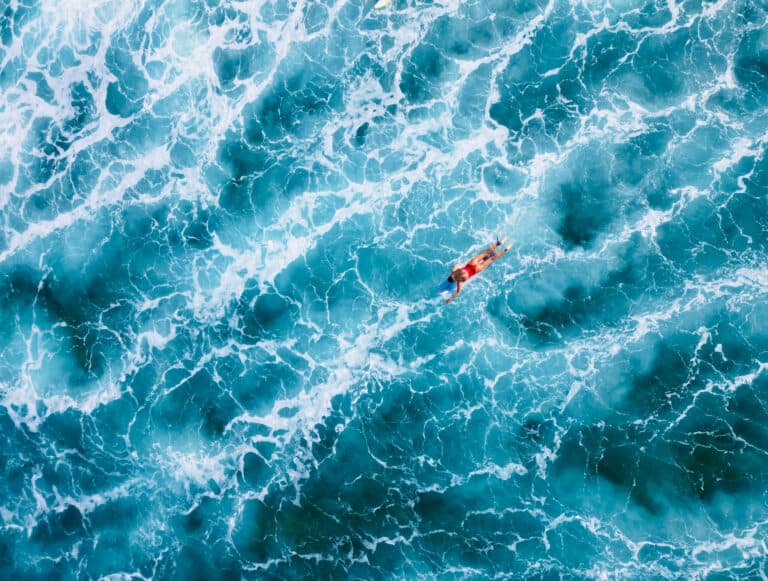 Stueys Drones photo 2