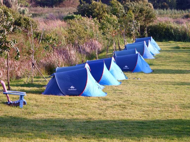 Surfcamp Algarve photo 6