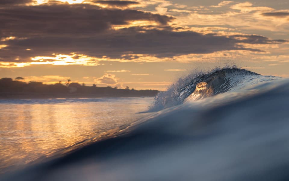 Surf Expedition photo 4