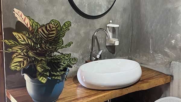 M.I.A Surfcamp photo 6