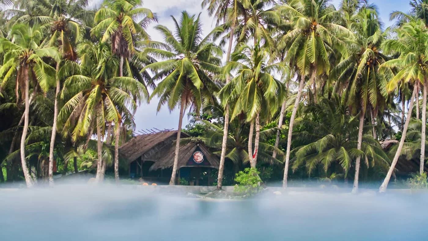 M.I.A Surfcamp photo 5