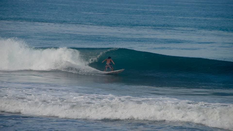 Surf Inn Hermosa photo 6