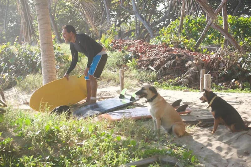 Pauhana Surf School photo 4