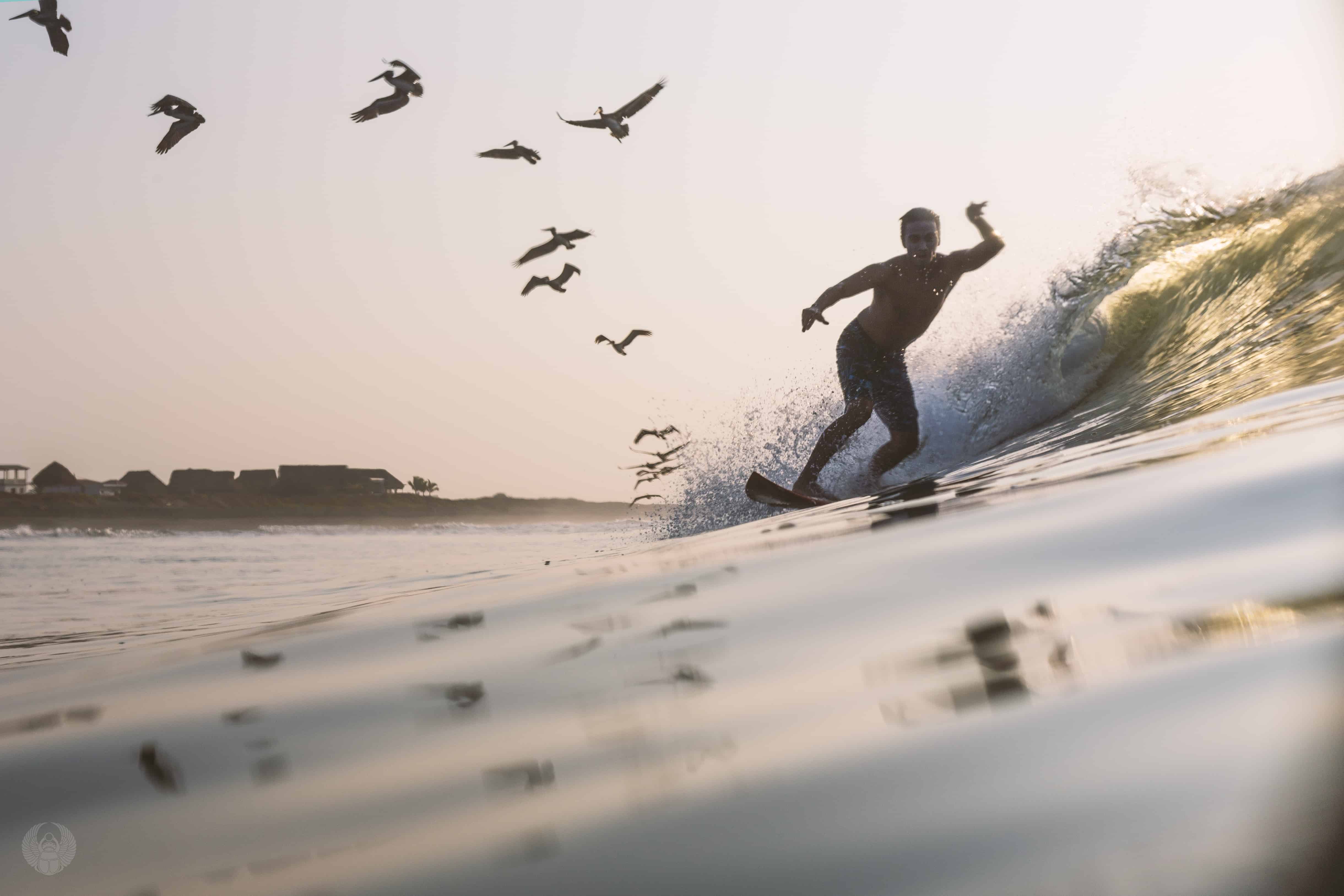 The Driftwood Surfer photo 2