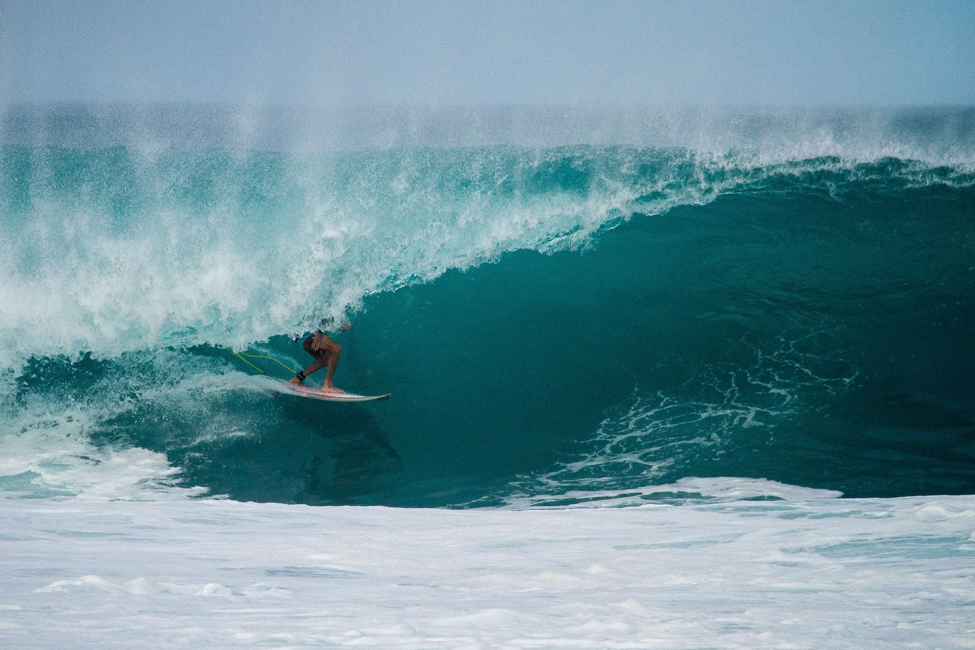 The Surf's Cool photo 2