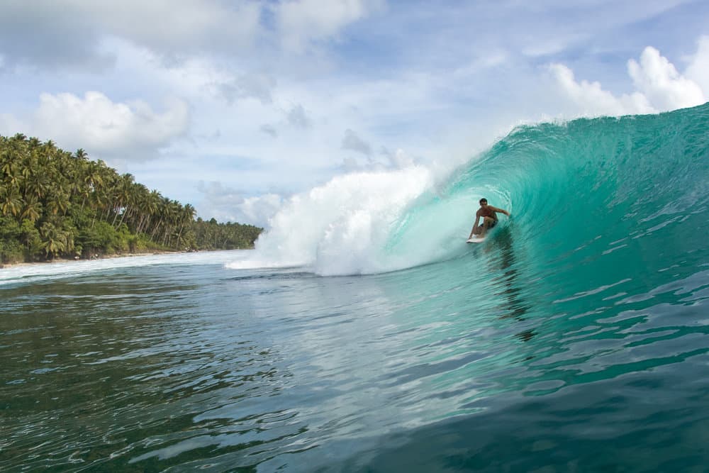 Wild Cat Surf Charters