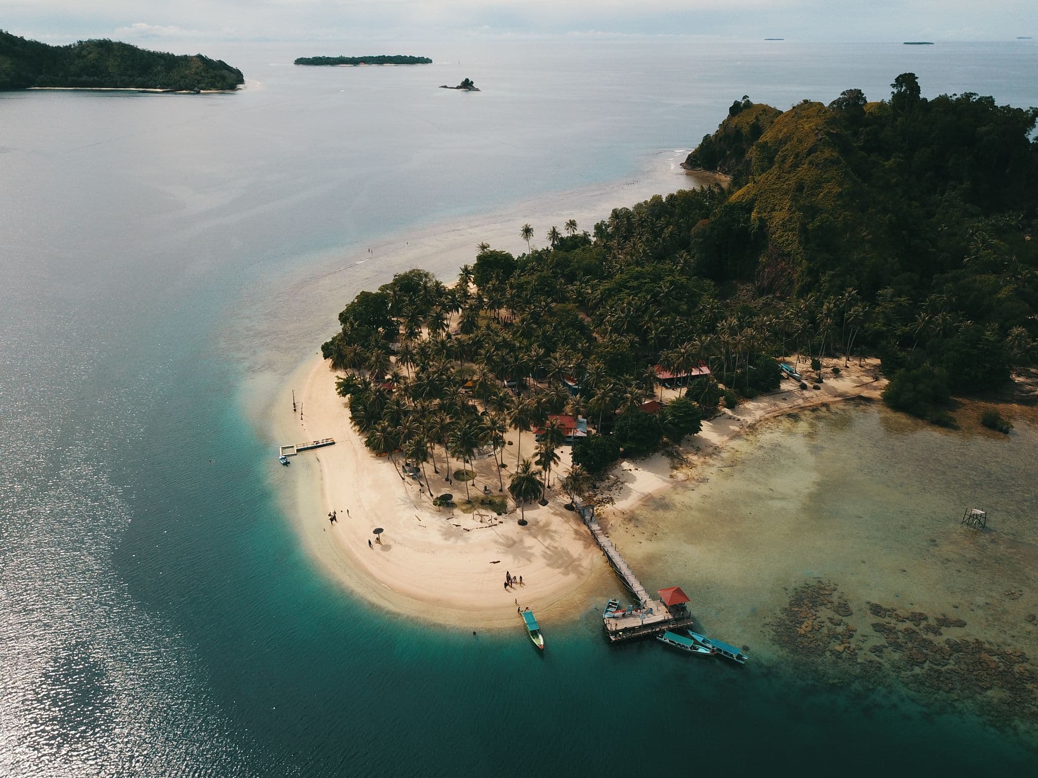 Wild Cat Surf Charters photo 3