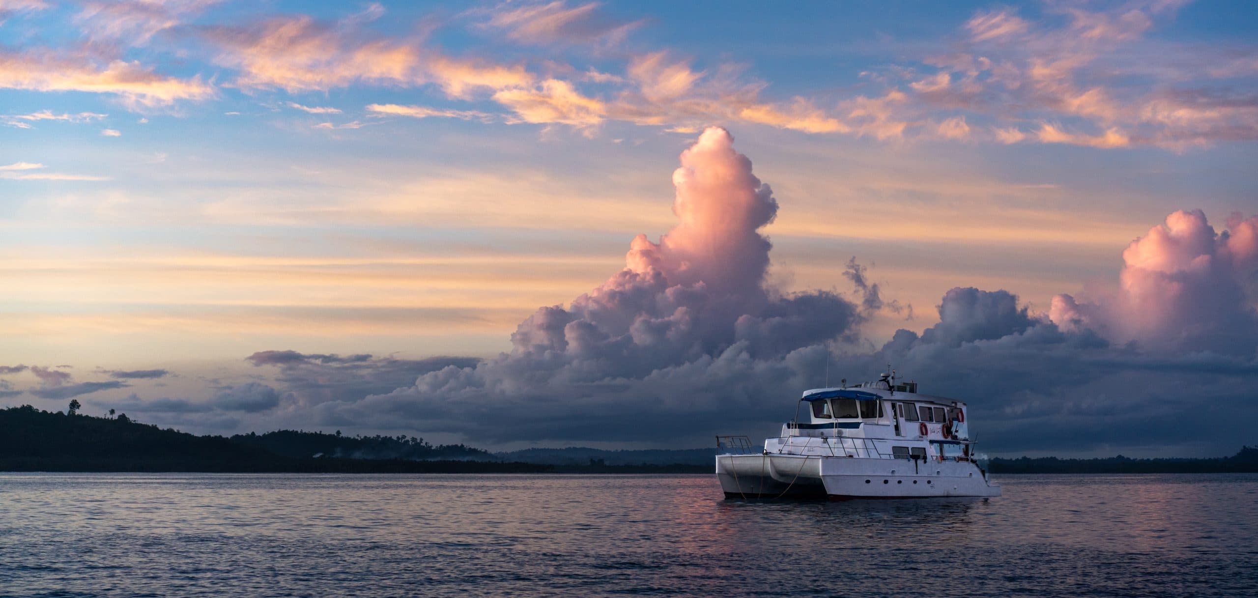 Wild Cat Surf Charters photo 2