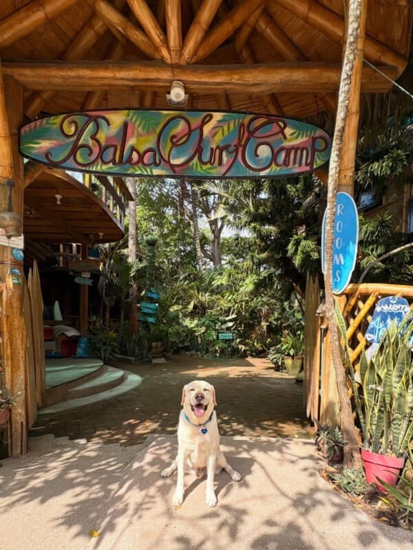 Balsa Surfcamp photo 2