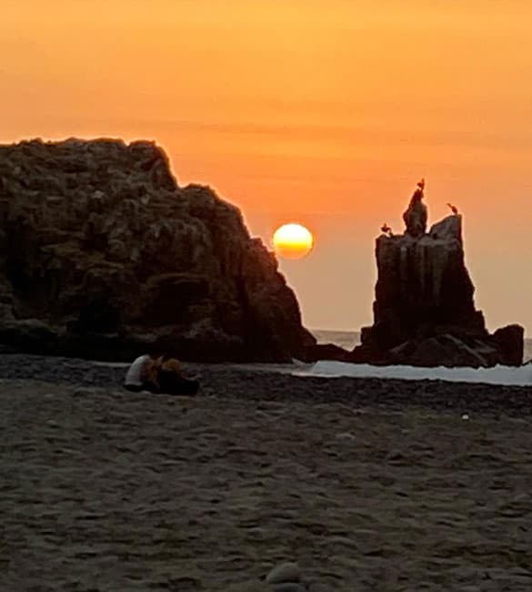 Bravo Surfcamp photo 4