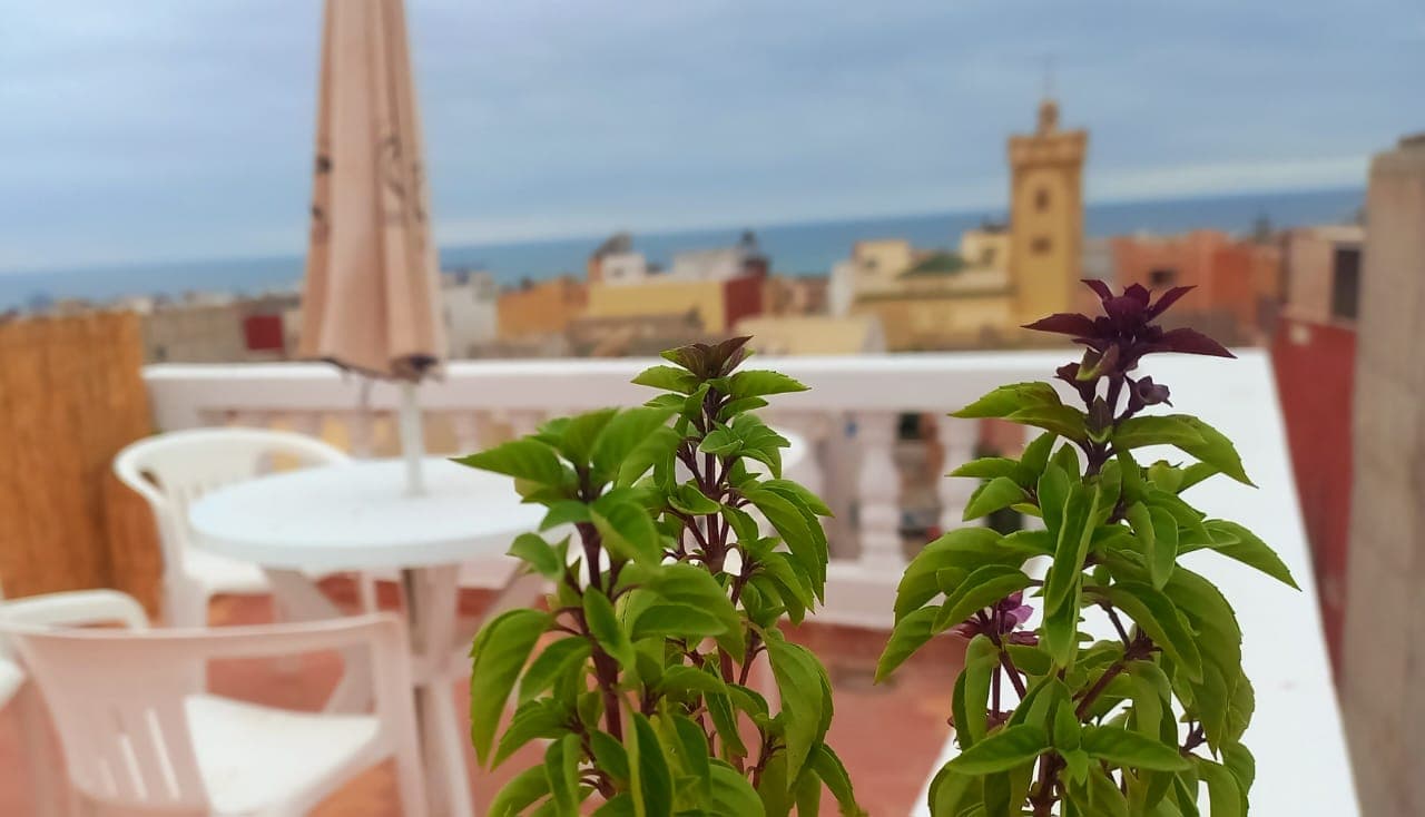 Crocro Surf Maroc photo 3