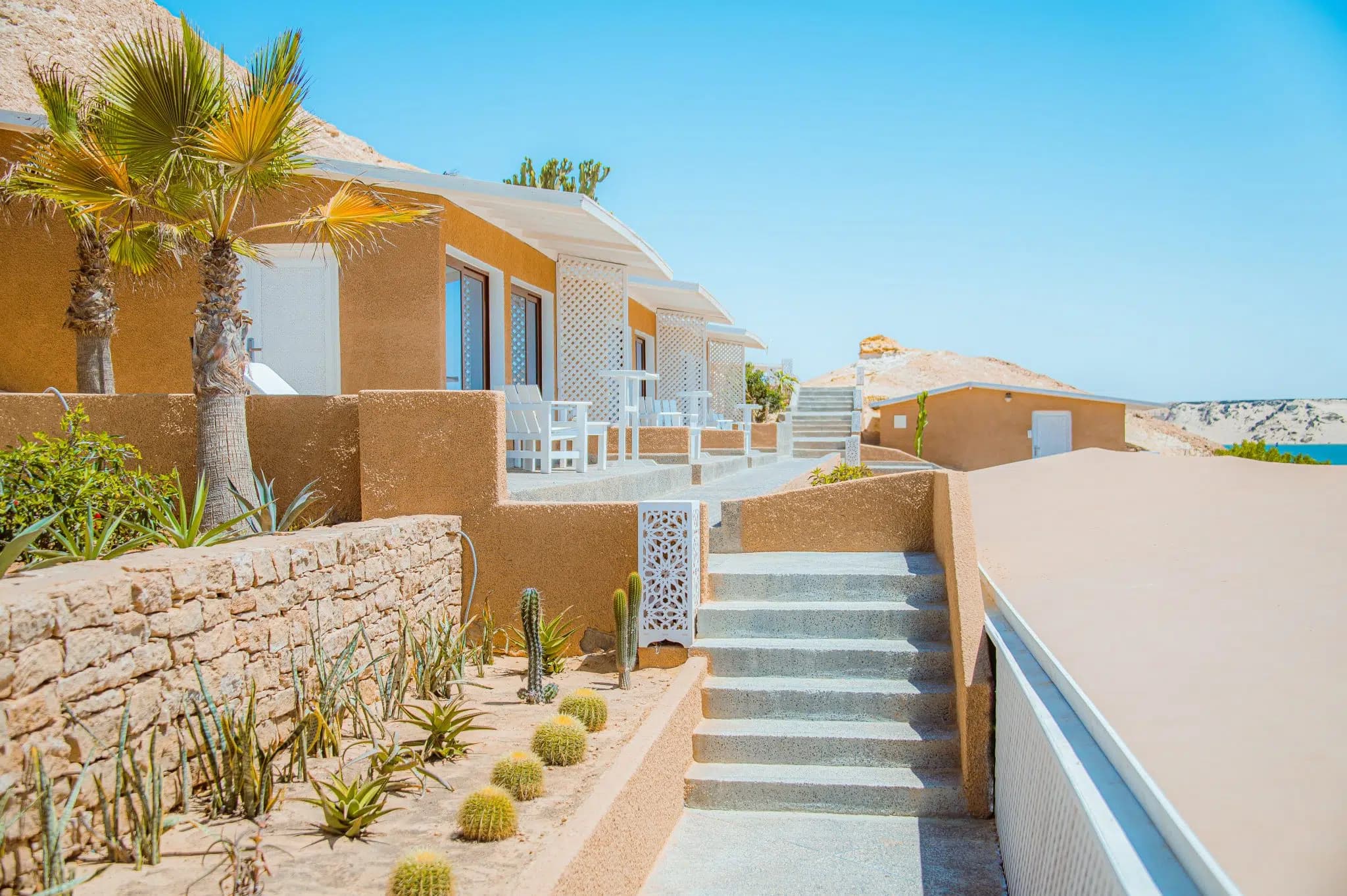 Dakhla Evasion photo 6