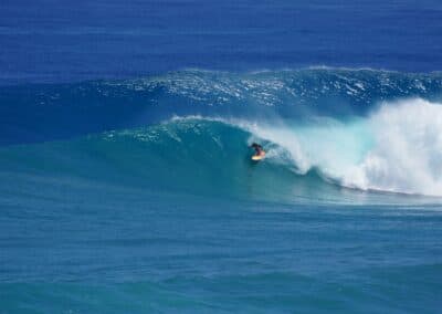 Dominican Surf School photo 3