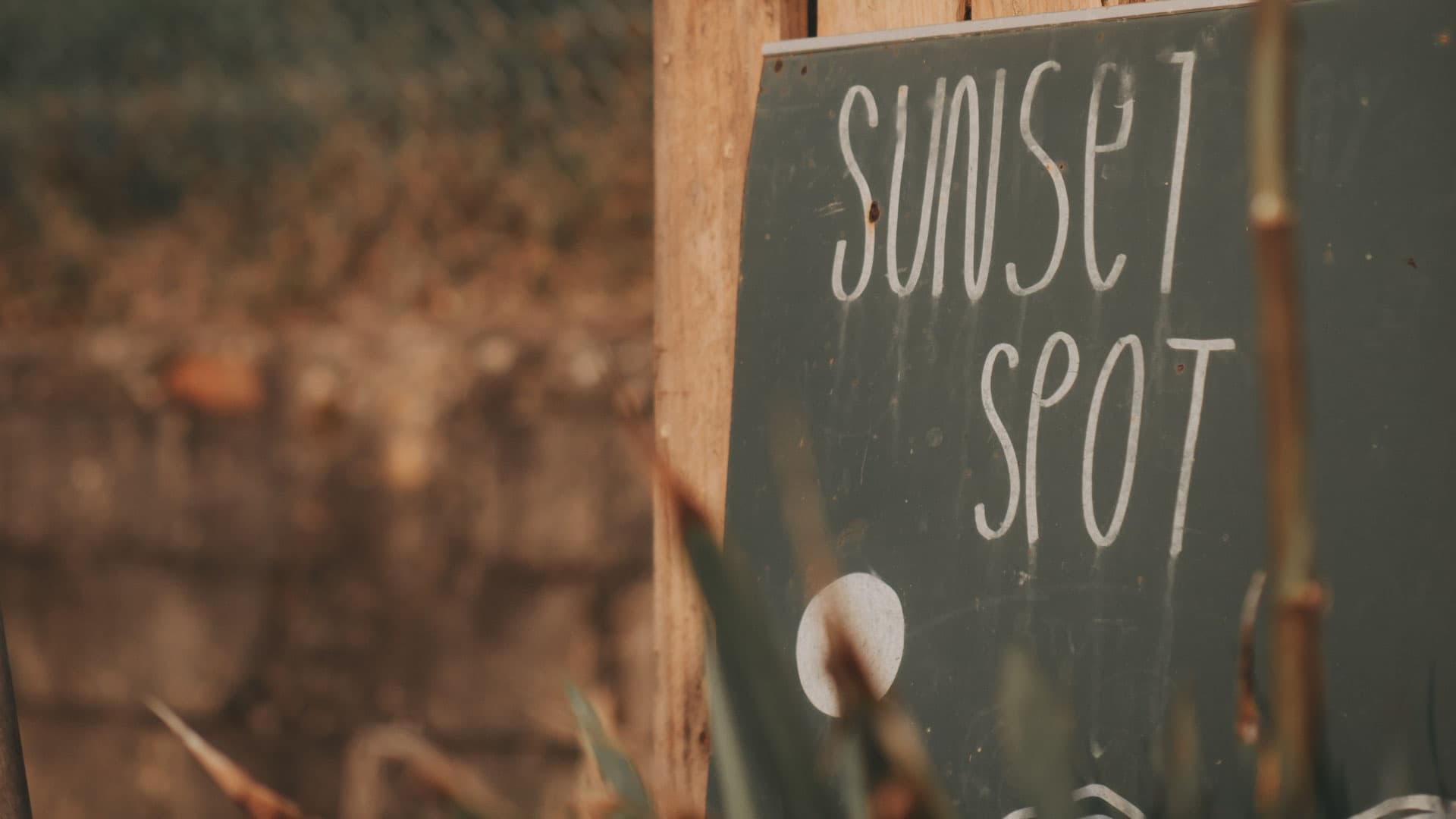 Goodtimes Surfcamp photo 5