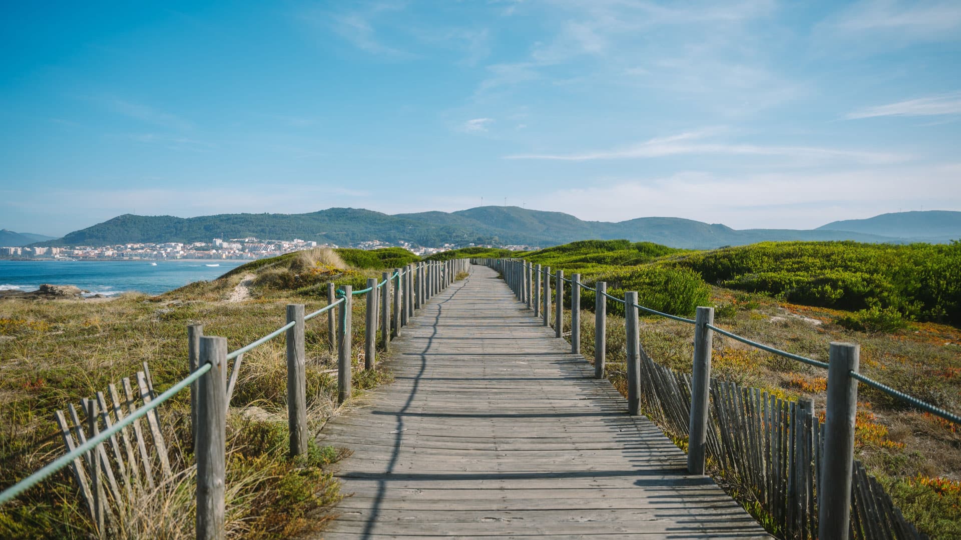 Goodtimes Surfcamp photo 3