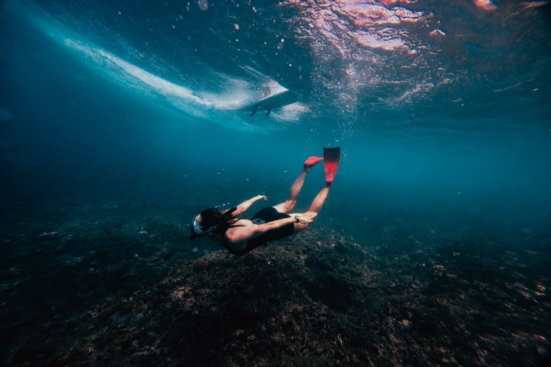 Hollow Trees Resort photo 4