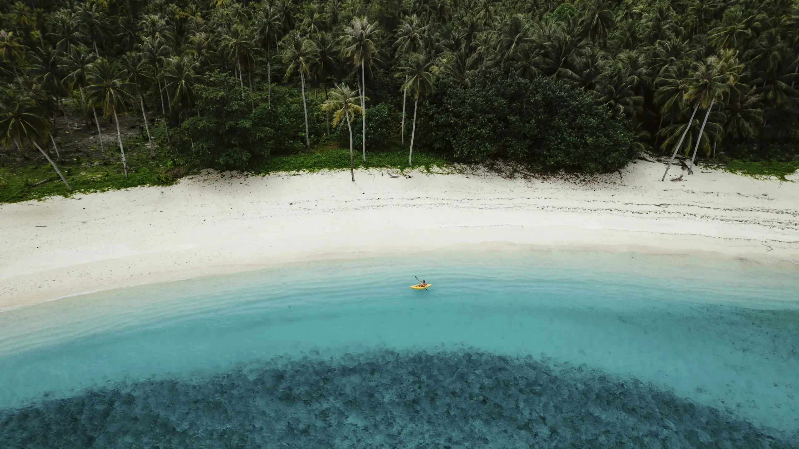 Hollow Trees Resort photo 5