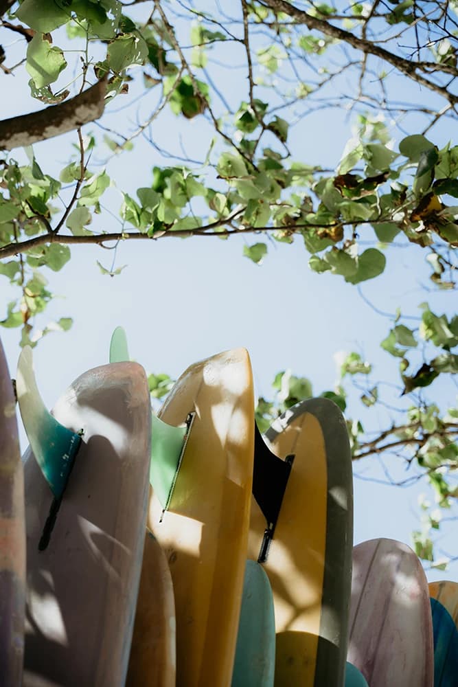 Kura Surfcamp photo 6