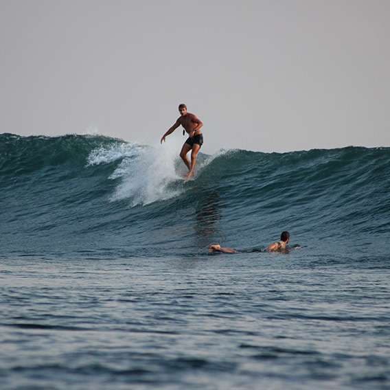 Las Plumerias Surf Camp photo 3