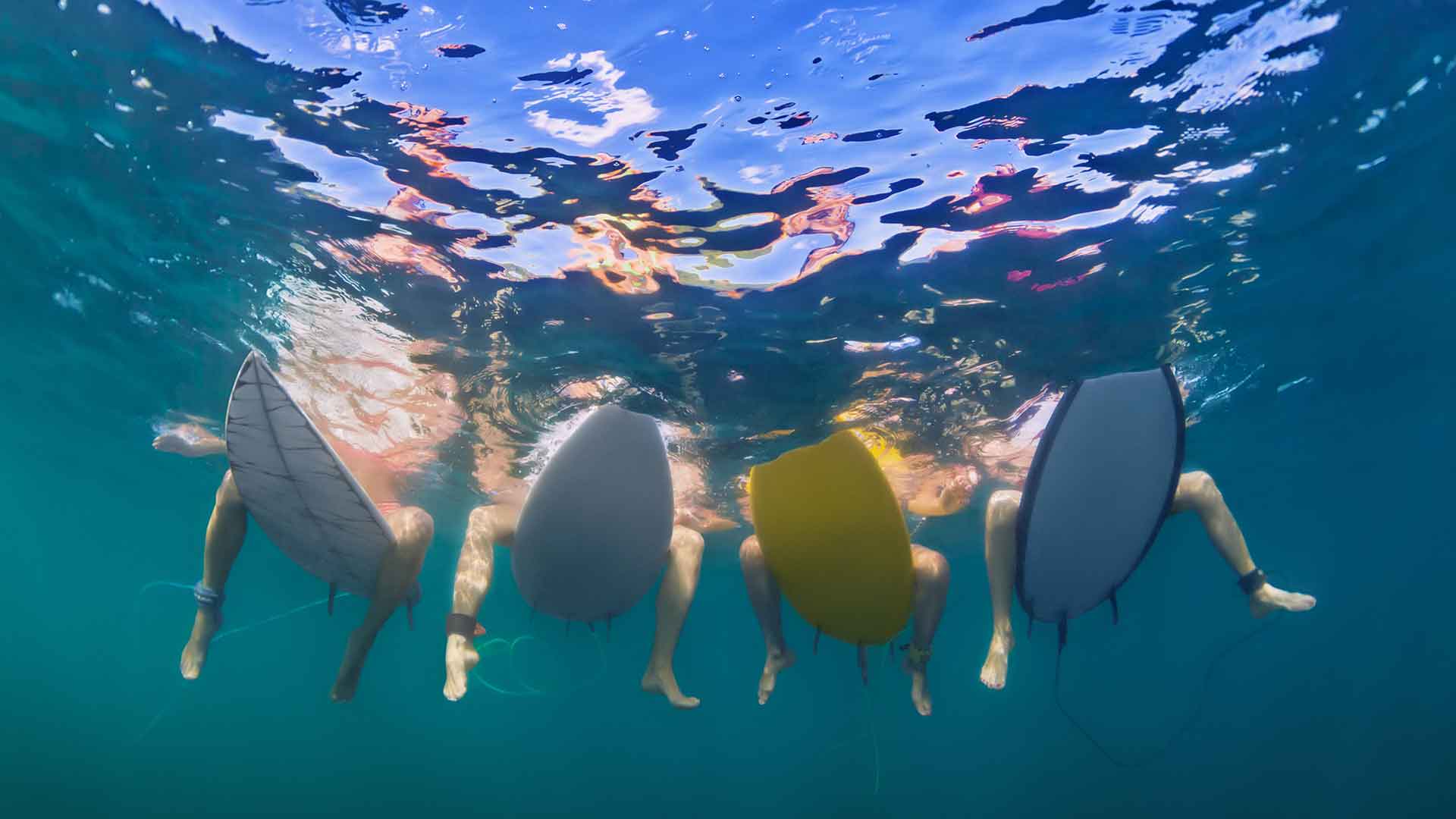 Malibu Makos Surf Club photo 4