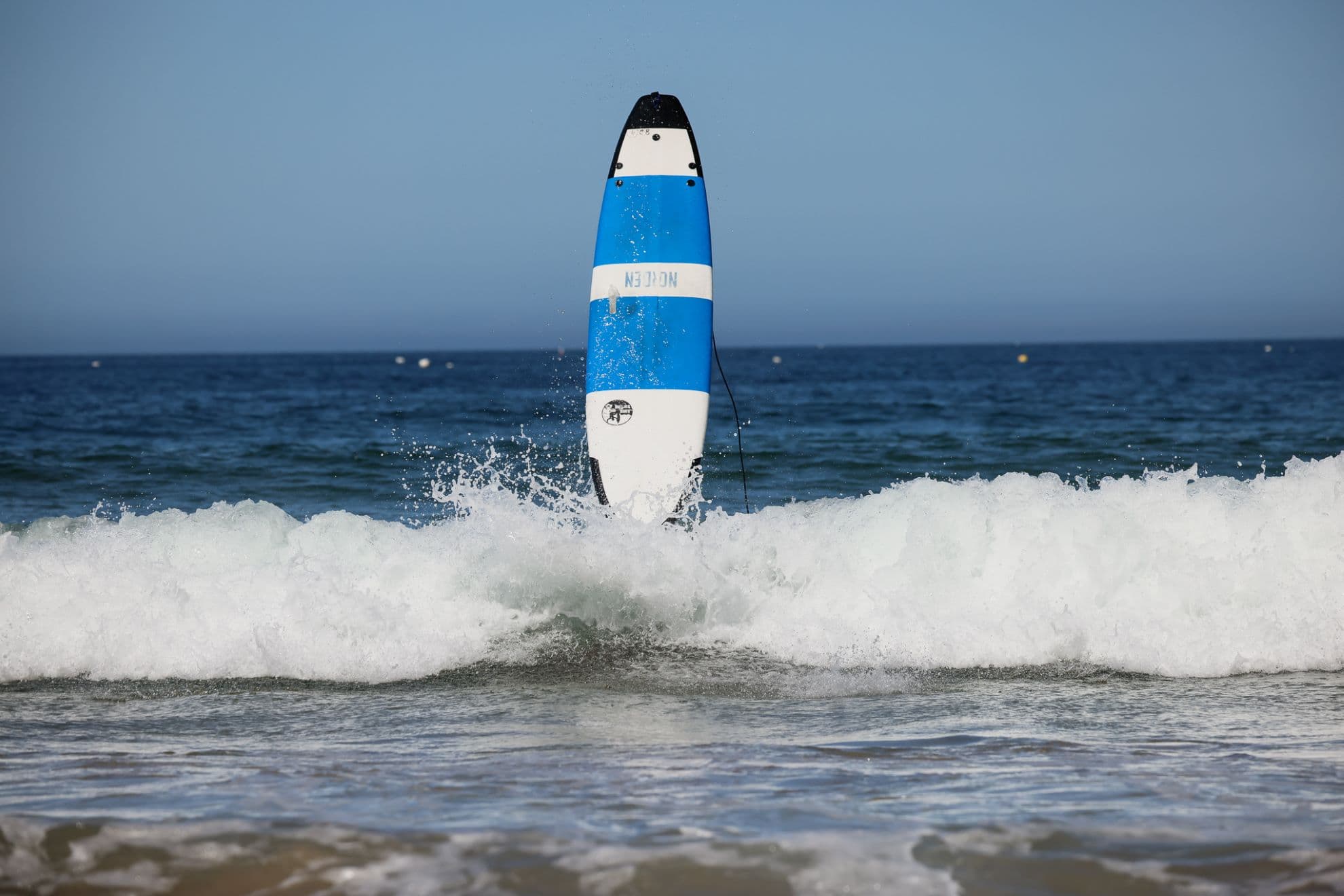 Mission to Surf photo 2