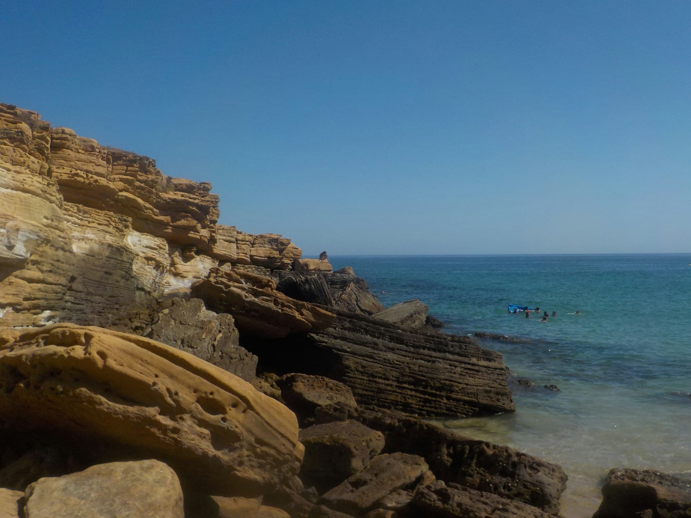 Next Level Surf Camp photo 4