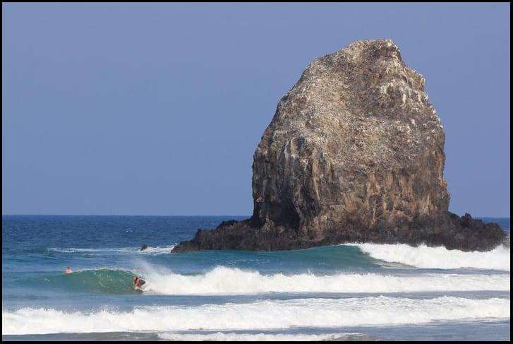 Oaxaca Surf Adventures photo 2
